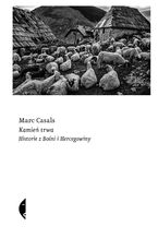 Okładka - Kamień trwa. Historie z Bośni i Hercegowiny - Marc Casals