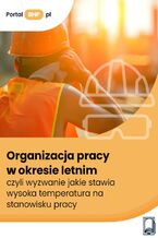 Okładka - Organizacja pracy w okresie letnim, czyli wyzwanie jakie stawia wysoka temperatura na stanowisku pracy - Kamil Szyszkiewicz