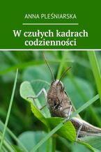 Okładka - W czułych kadrach codzienności - Anna Pleśniarska