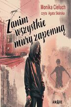 Okładka - Zanim wszystkie mury zapomną - Monika Cieluch