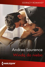 Okładka - Windą do nieba - Andrea Laurence
