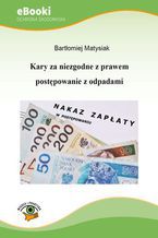 Okładka - Kary za niezgodne z prawem postępowanie z odpadami - Bartłomiej Matysiak