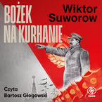 Okładka - Bożek na kurhanie - Wiktor Suworow