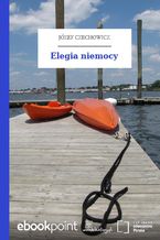 Elegia niemocy