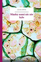 Między nami nic nie było