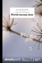 Wśród nocnej ciszy