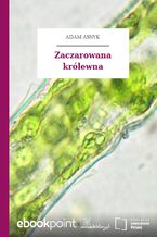 Zaczarowana królewna