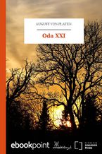 Okadka ksiki Oda XXI