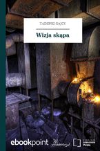 Wizja skąpa