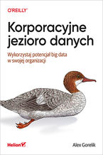 Korporacyjne jezioro danych. Wykorzystaj potencja big data w swojej organizacji