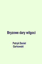 Okładka - Bryzowe dary wilgoci - Patryk Daniel Garkowski