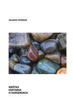 Okładka - Krótka historia o kamieniach - Jolanta Poźniak