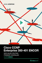 Okładka książki Cisco CCNP Enterprise 350-401 ENCOR. Kurs video. Sieci WLAN i routing pomiędzy oddziałami