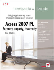 Okładka: Access 2007 PL. Formuły, raporty, kwerendy. Rozwiązania w biznesie