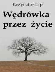 Okładka: Wędrówka przez życie