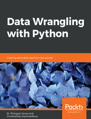 Okładka: Data Wrangling with Python. Creating actionable data from raw sources
