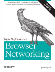 Okładka: High Performance Browser Networking. What every web developer should know about networking and web performance