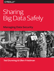 Sharing Big Data Safely. Managing Data Security