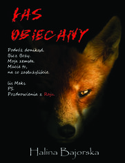 e_2zlm_ebook