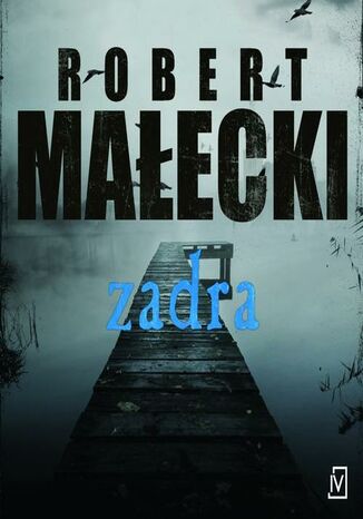Okładka książki/ebooka Zadra