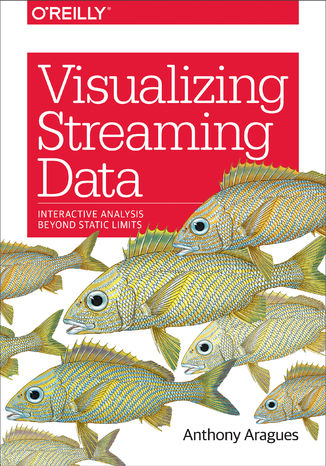 Okładka książki Visualizing Streaming Data. Interactive Analysis Beyond Static Limits