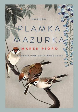 Okładka książki/ebooka Plamka mazurka