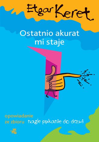 Okładka książki/ebooka Ostatnio akurat mi staje