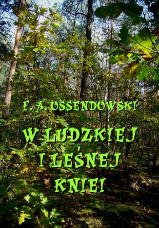 Okładka książki/ebooka W ludzkiej i leśnej kniei