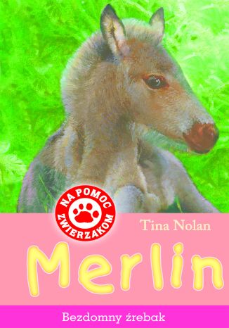 Okładka książki/ebooka Merlin. Bezdomny źrebak