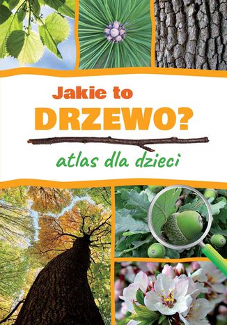Okładka książki/ebooka Jakie to drzewo? Atlas dla dzieci