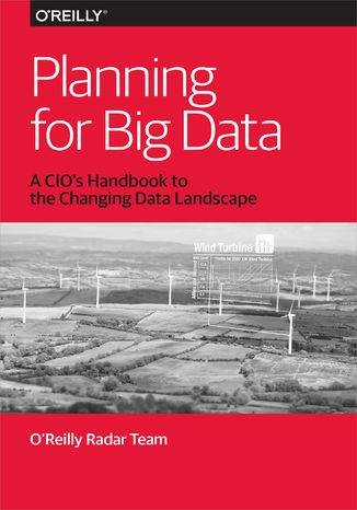 Okładka książki/ebooka Planning for Big Data