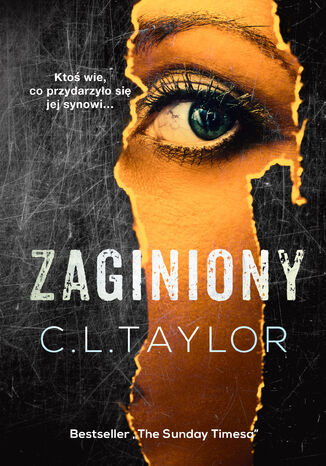 Okładka książki/ebooka Zaginiony