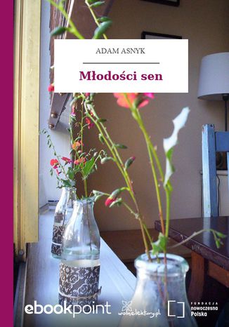 Okładka książki/ebooka Młodości sen