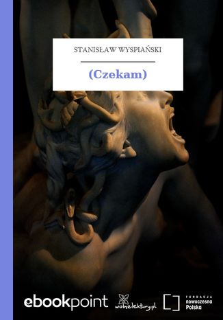Okładka książki/ebooka (Czekam)