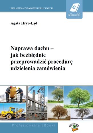 Okładka książki/ebooka Naprawa dachu - jak bezbłędnie przeprowadzić procedurę udzielenia zamówienia