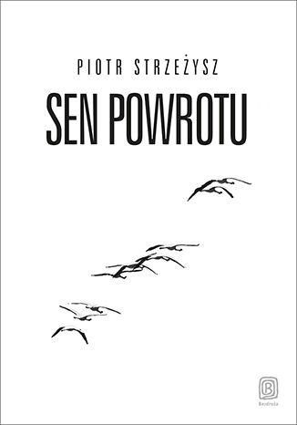 Okładka książki/ebooka Sen powrotu