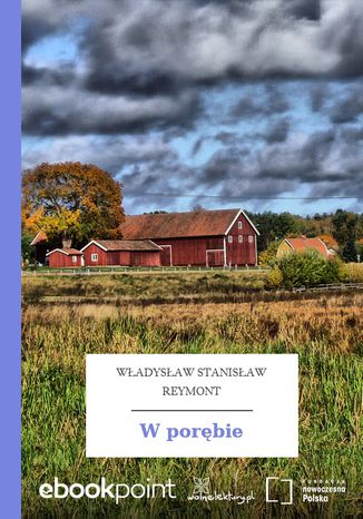 Okładka książki/ebooka W porębie