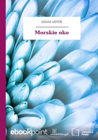 Okładka książki/ebooka Morskie oko
