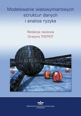 Okładka książki/ebooka Modelowanie wielowymiarowych struktur danych i analiza ryzyka