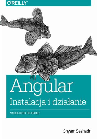 Okładka książki/ebooka Angular instalacja i działanie