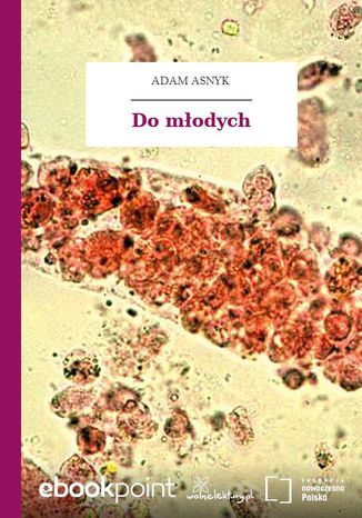 Okładka książki/ebooka Do młodych