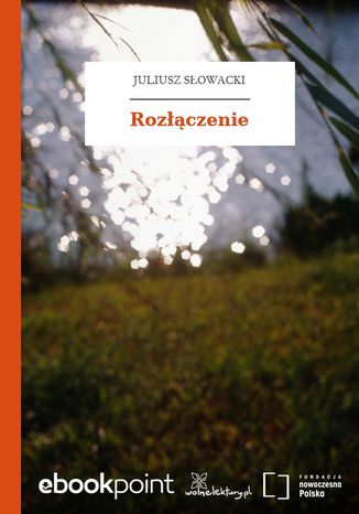 Okładka książki/ebooka Rozłączenie