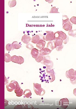 Okładka książki/ebooka Daremne żale