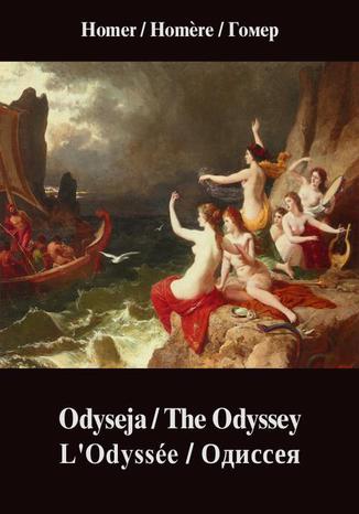 Okładka książki/ebooka Odyseja