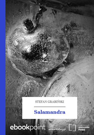 Okładka książki/ebooka Salamandra