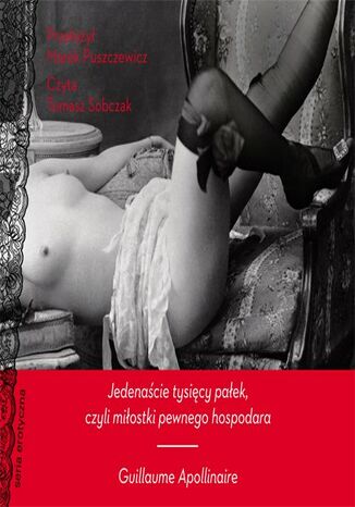 Okładka książki/ebooka Jedenaście tysięcy pałek, czyli miłostki pewnego hospodara