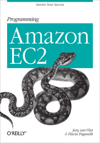 Okładka książki/ebooka Programming Amazon EC2. Survive your Success