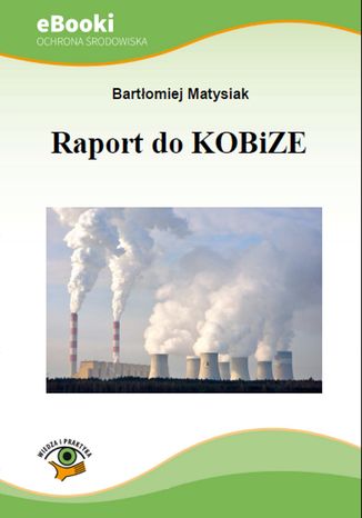 Okładka książki/ebooka Raport do KOBiZE