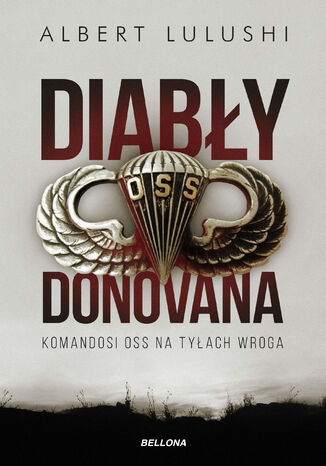 Okładka książki/ebooka Diabły Donovana