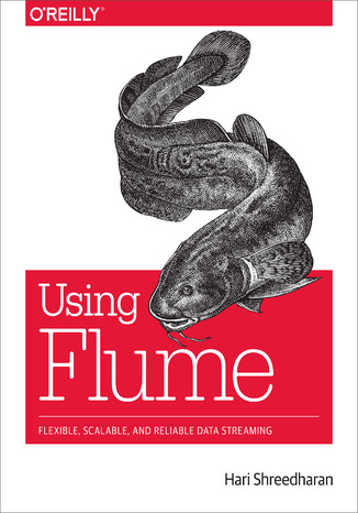 Okładka książki Using Flume. Flexible, Scalable, and Reliable Data Streaming
